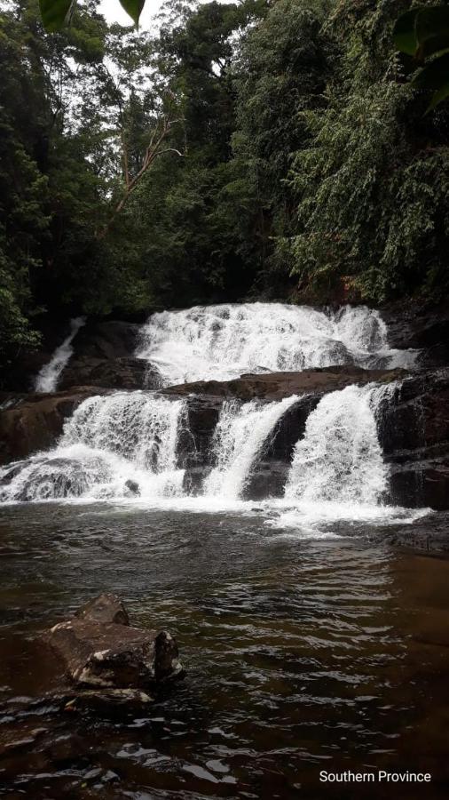 Rainforest River Edge Deniyaya Eksteriør billede